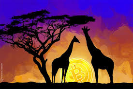 Is Bitcoin Africa’s New Language?